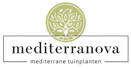 logo_mediterranova