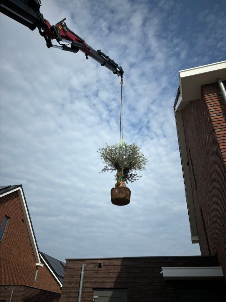 Plaatsing met autolaadkraan